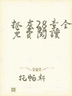 抓灰28章全部免费阅读