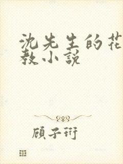 沈先生的花式调教小说