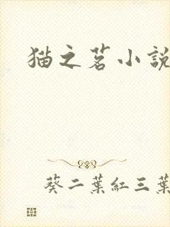 猫之茗小说