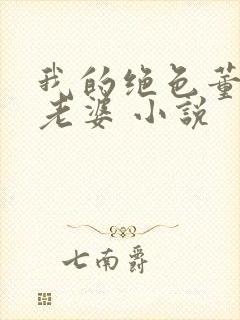 我的绝色董事长老婆 小说