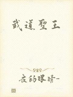 武道圣王