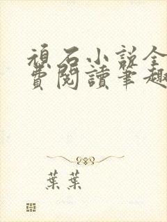 顽石小说全文免费阅读笔趣阁