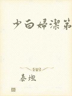 少白妇洁第二部