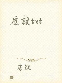 应该txt