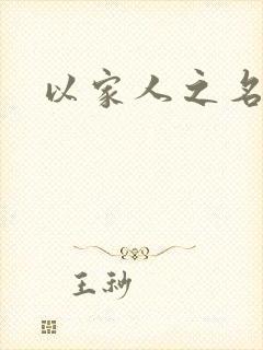 以家人之名小说