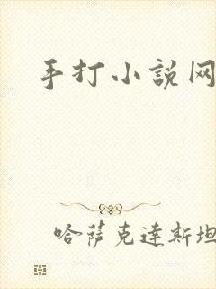 手打小说网