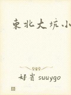 东北大坑小说