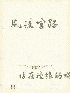 风流官路