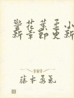 警花叶柔小说最新章节更新