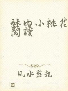 酥肉小桃花全文阅读