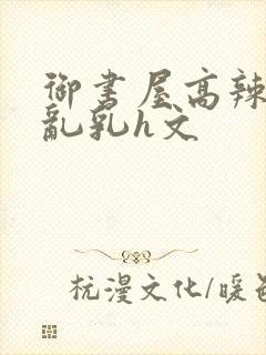 御书屋高辣h文乱乳h文