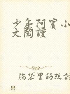 少年阿宾小说全文阅读