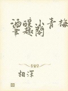 酒酿小青梅po笔趣阁