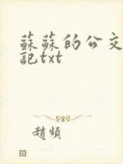 苏苏的公交车日记txt