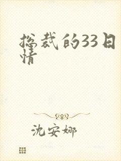 总裁的33日索情