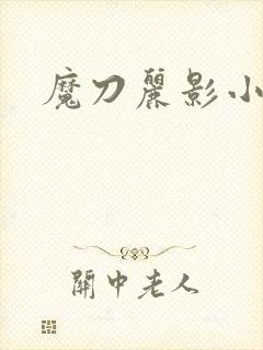 魔刀丽影小说