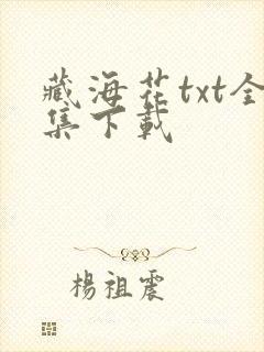藏海花txt全集下载