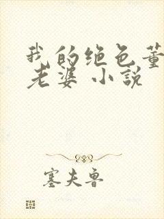 我的绝色董事长老婆 小说