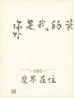 你是我的荣耀番外