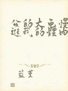 公的大龟慢慢挺进我的体内视频