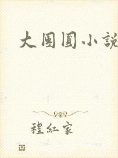 大团圆小说