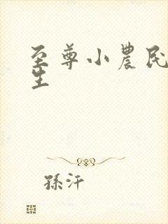 至尊小农民王木生