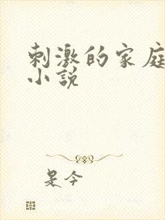 刺激的家庭乱仑小说