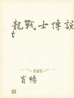 龙战士传说txt
