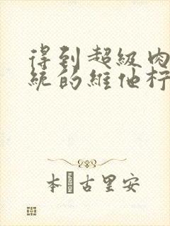 得到超级肉禽系统的维他柠檬茶