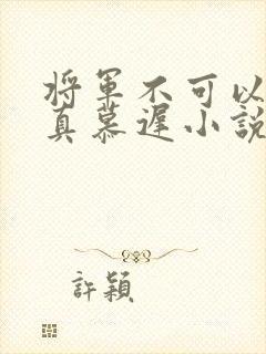 将军不可以魏云真慕迟小说笔趣阁