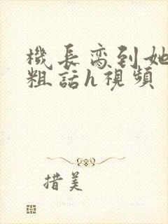 机长脔到她哭h粗话h视频