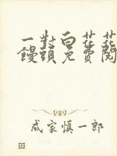 一对白花花的大馒头免费阅读