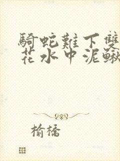 骑蛇难下双金银花水中泥鳅双男主