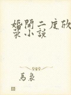 婚开二度欣欣向荣小说