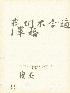 我们不合适1v1军婚