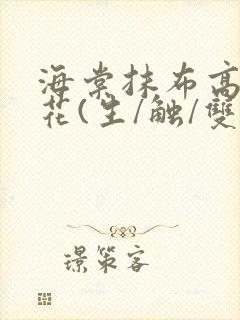 海棠抹布高岭之花(生/触/双)