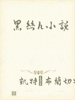 黑丝h小说