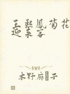 王熙凤菊花门初迎来客