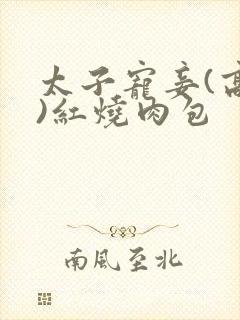 太子宠妾(高肉)红烧肉包