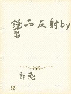 镜面反射by九葛