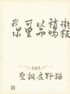 我可以稍微放进你里面吗校园版