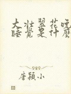 大壮翠花晚上不睡觉是什么电视剧