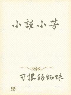 小说小芳