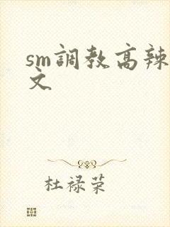 sm调教高辣h文