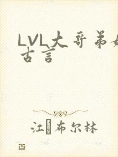 LVL大哥弟媳古言