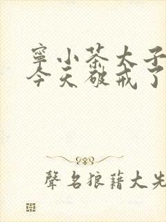 宁小茶太子殿下今天破戒了吗免费阅读