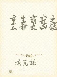 重生霸宠之摄政王爷太凶猛