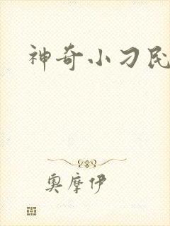 神奇小刁民