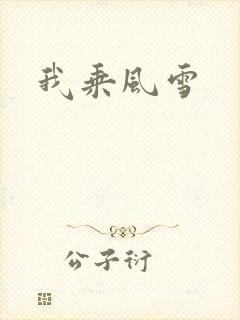 我乘风雪