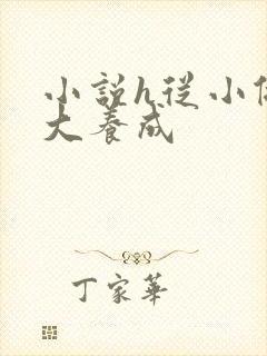 小说h从小做到大养成